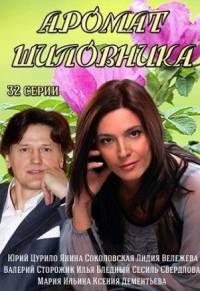 Аромат шиповника 2014