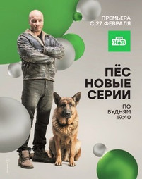 Пес 2 сезон все серии