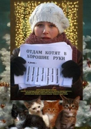 Отдам котят в хорошие руки